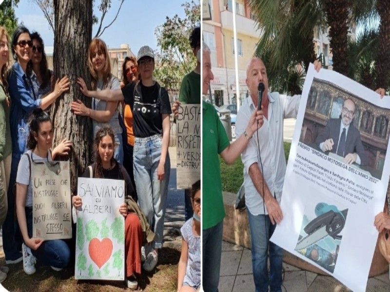 Cagliari, cittadini ed ecologisti abbracciano gli alberi: “Truzzu, hai vinto il premio di sindaco motosega”