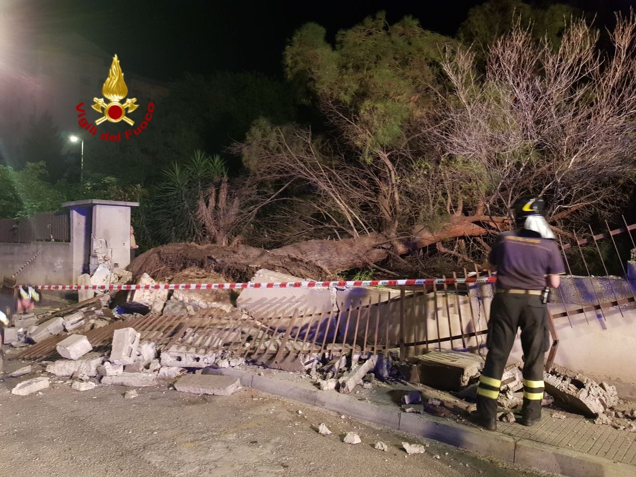 Cagliari, grosso pino crolla in un cortile a Mulinu Becciu: abitanti spaventati e infuriati