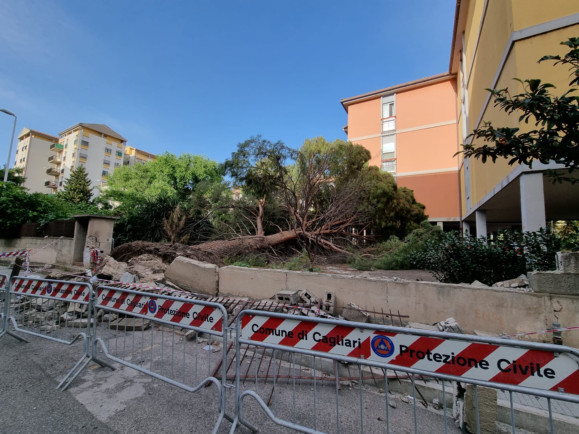 Cagliari, l’urlo dalle case popolari: “Pino crollato e transennato tra la polvere e le macerie”