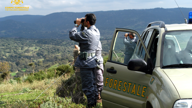 La grande fame di lavoro in Sardegna, in 12300 per 78 posti nel Corpo forestale