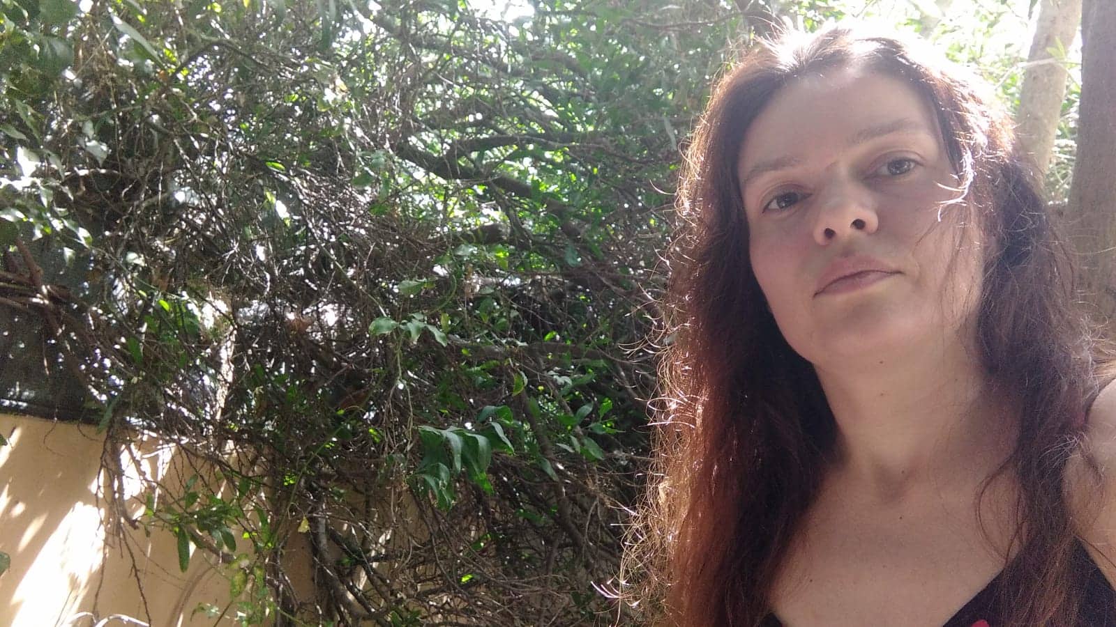 Quartu, i rami di una mimosa le distruggono il muro: “Il Comune non ha i soldi per tutelarmi”