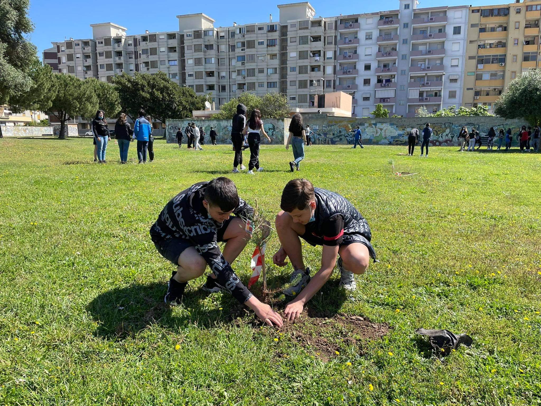 A Quartu gli studenti diventano giardinieri e donano 15 pini agli ambientalisti: “Abbelliranno la città”