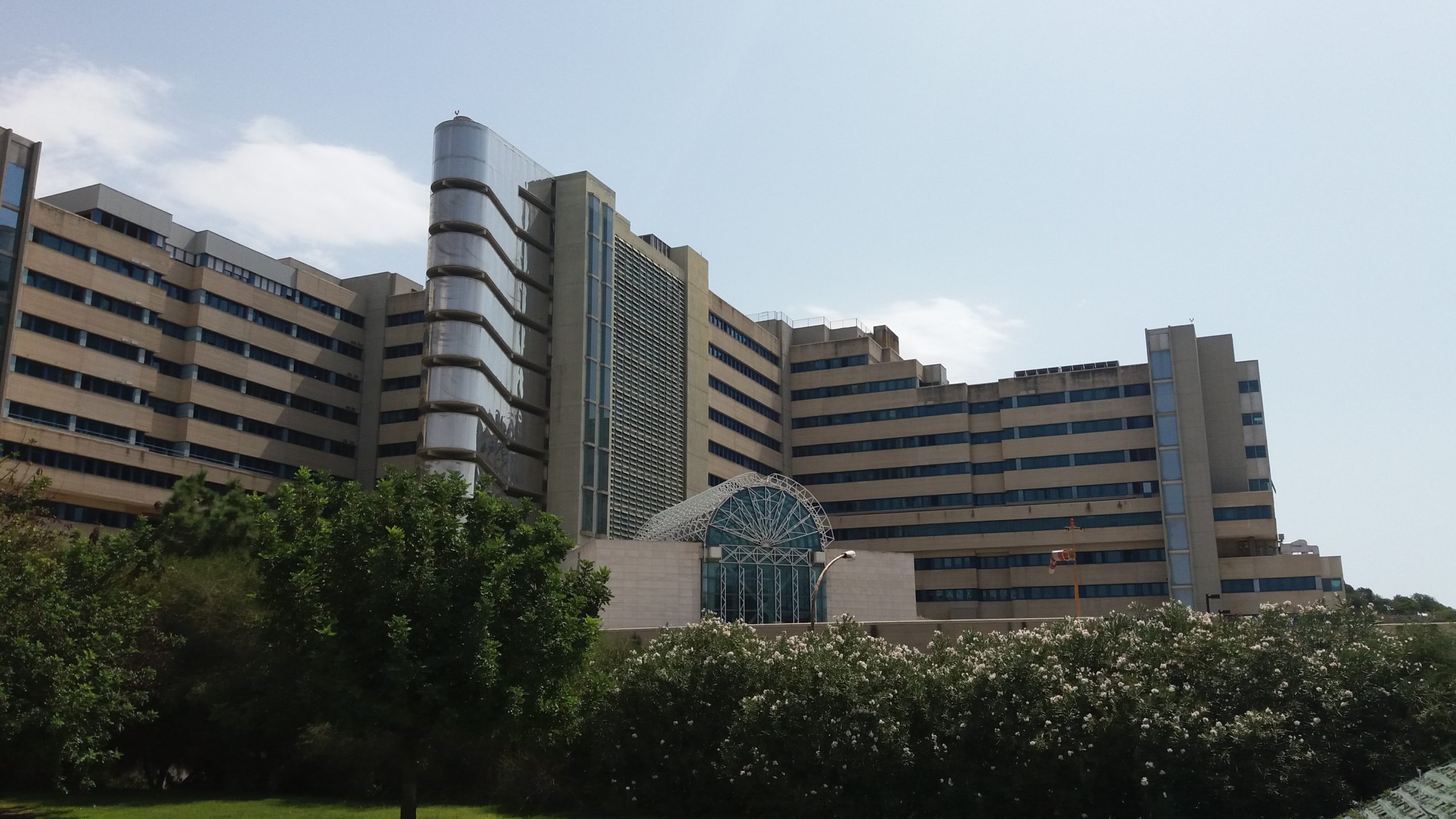 La battaglia di Sara, 72enne di Sestu: “Coliche renali dolorose e prima visita urologica a novembre 2023”