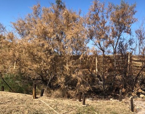 Pula, vandali scatenati a Porto Columbu: in cenere le opere per la difesa della spiaggia