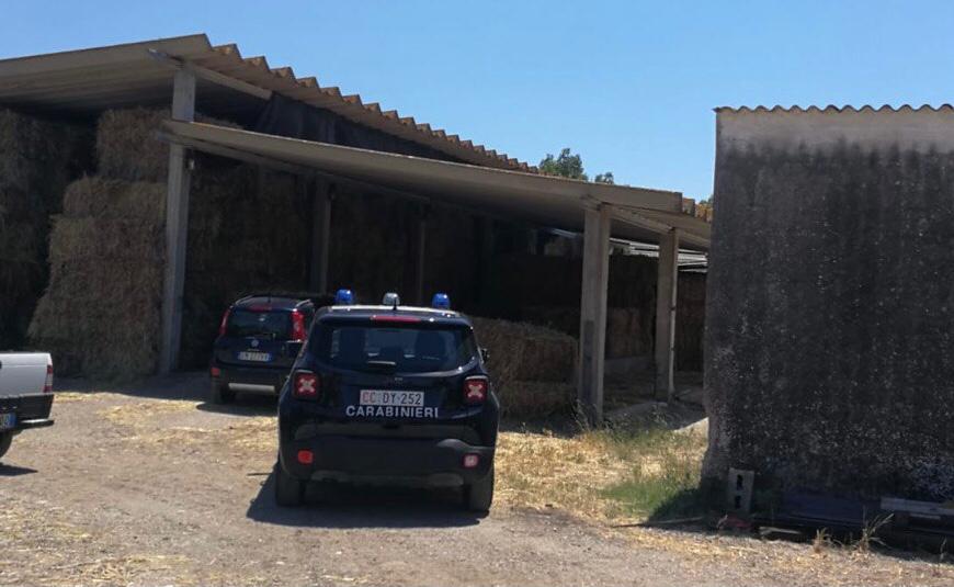 Travolto dalle balle di fieno, in Rianimazione al Brotzu: Sanluri prega per Luciano Demontis