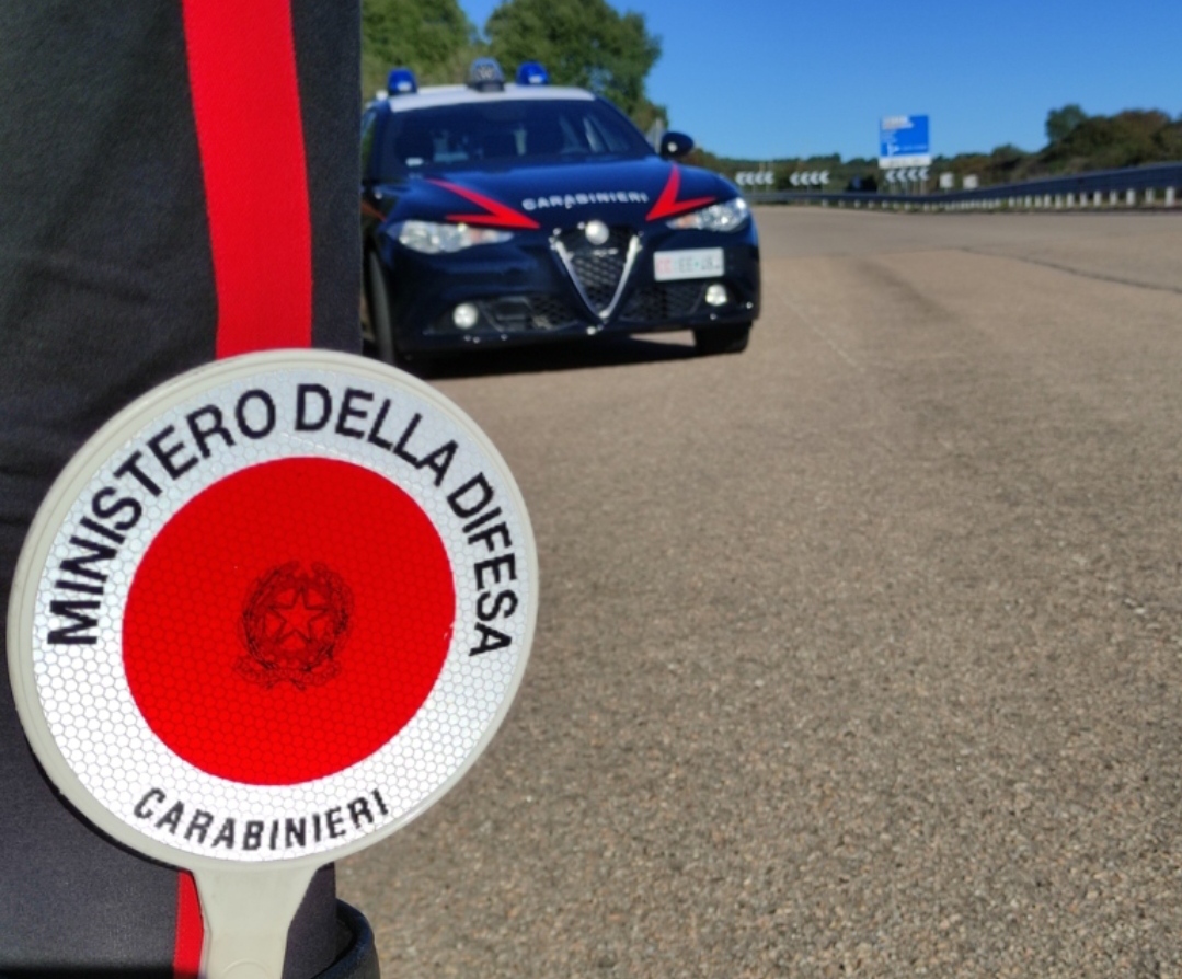 Alberi tagliati e sabbia presa senza autorizzazioni, sequestrato un tratto della 125: 4 denunciati