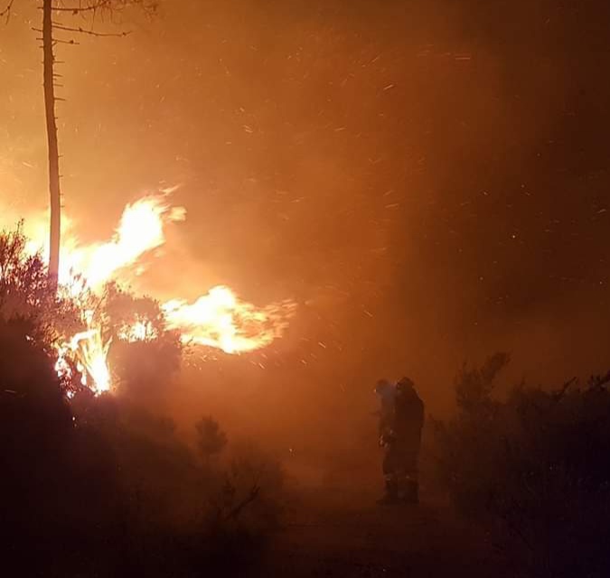 Paura a Decimoputzu, un vasto incendio sfiora le case e le serre vicino alla Provinciale