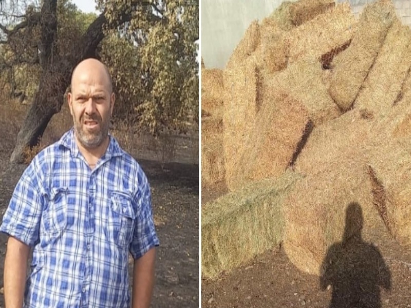 Paradura speciale per l’allevatore di San Gavino Monreale: “Tante balle di fieno per sfamare le mie pecore”