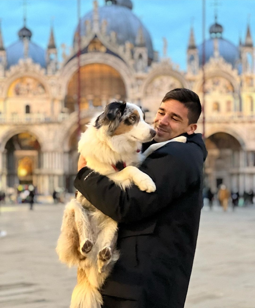 Avvelenata a Cagliari la cagnolina di Simeone,  lui era già a Verona