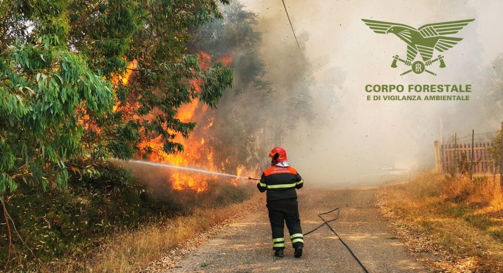 L’area vasta di Cagliari in fiamme: tre incendi tra Villaspeciosa e Assemini