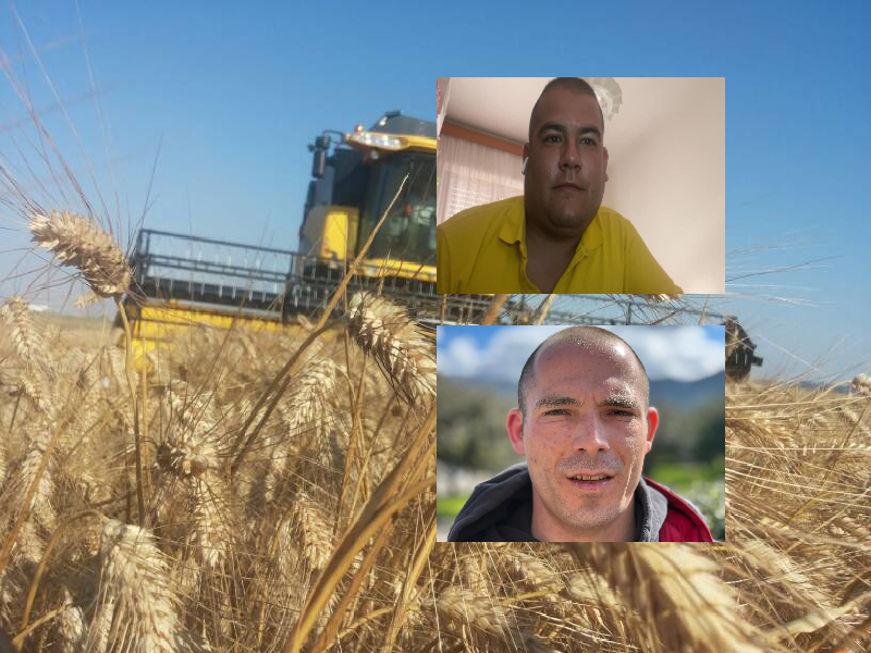 Gli agricoltori sardi al collasso: “Soldi quasi finiti, i prezzi che trovate nei market li decidono i grossisti”