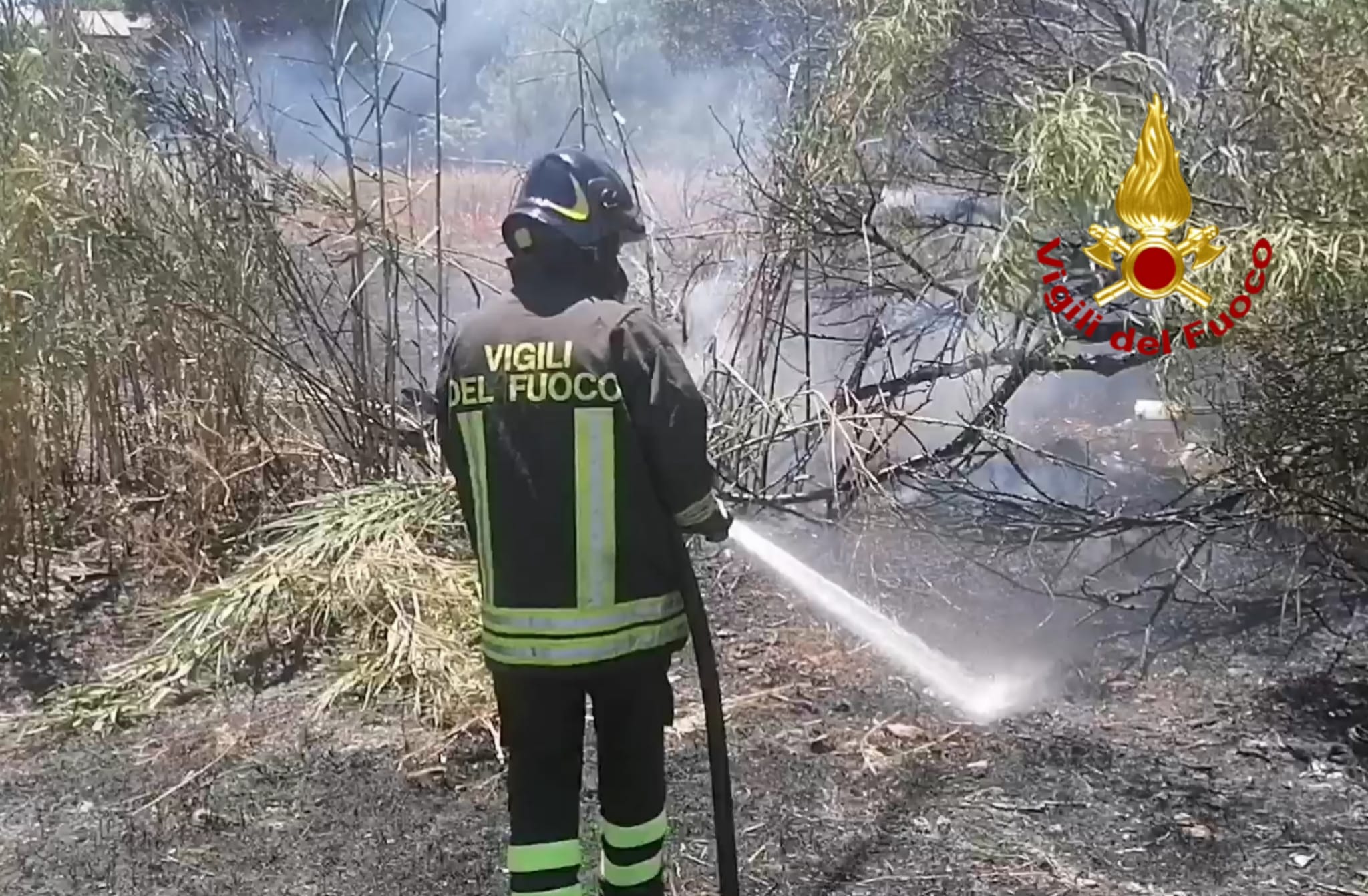 Cagliari, fuoco a Sant’Elia: incendio in viale Ferrara minaccia le auto in sosta