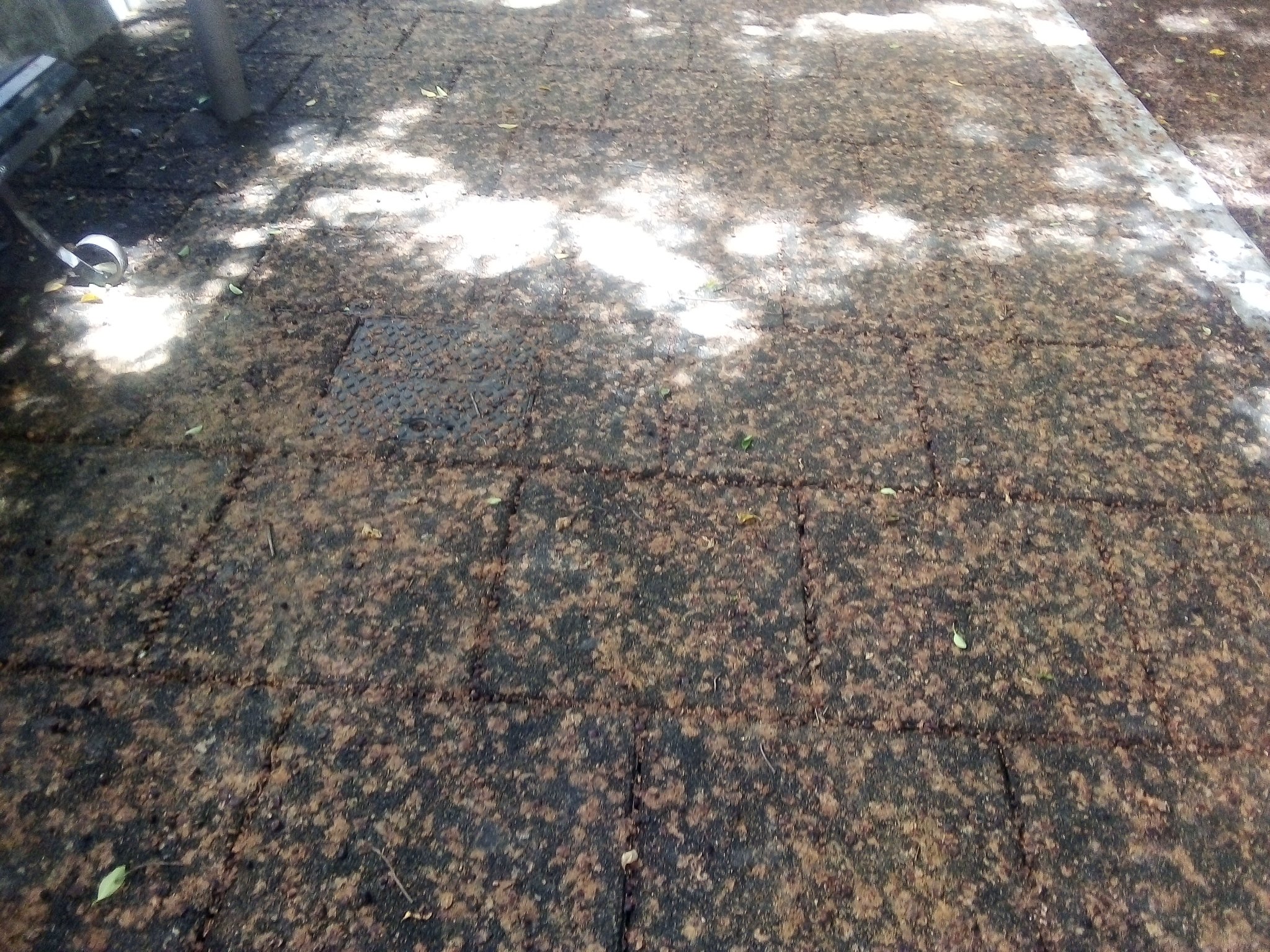 “Piazza Garibaldi, lo sconcio dove giocano i bimbi mentre il sindaco Truzzu si aumenta lo stipendio”