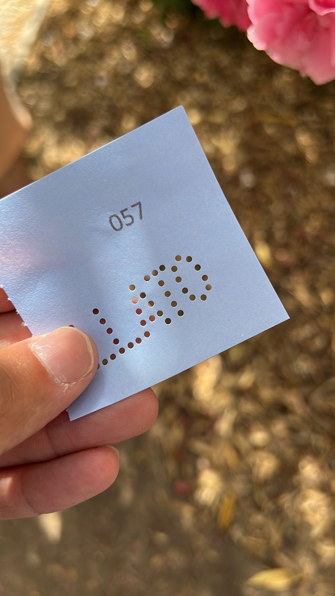 Cagliari, la Motorizzazione nel caos: “Attese di ore, numeri dati a mano, neanche una prenotazione elettronica”