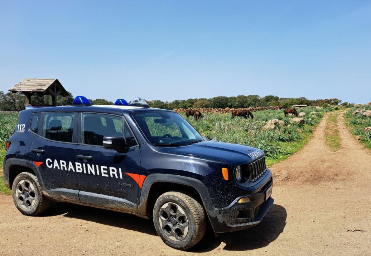 Uccide a sassate il cane di un cacciatore sulla Giara di Gesturi: denunciato un pastore 65enne
