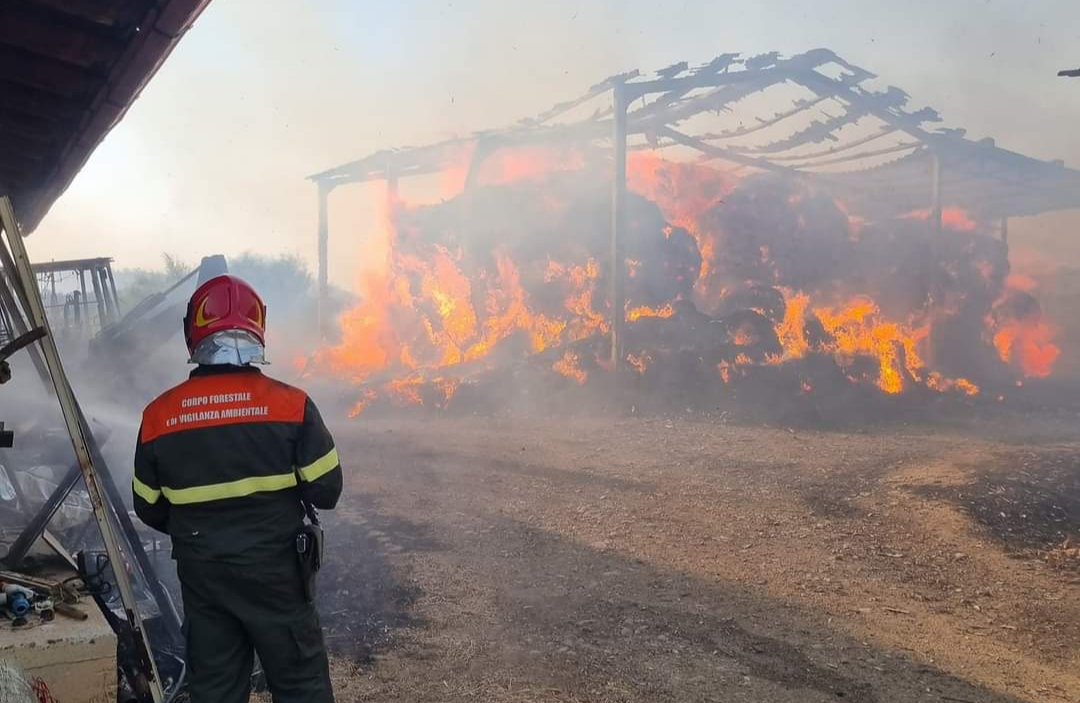 Devastante incendio a Monastir, distrutte querce e pagliai: 150 ettari in cenere