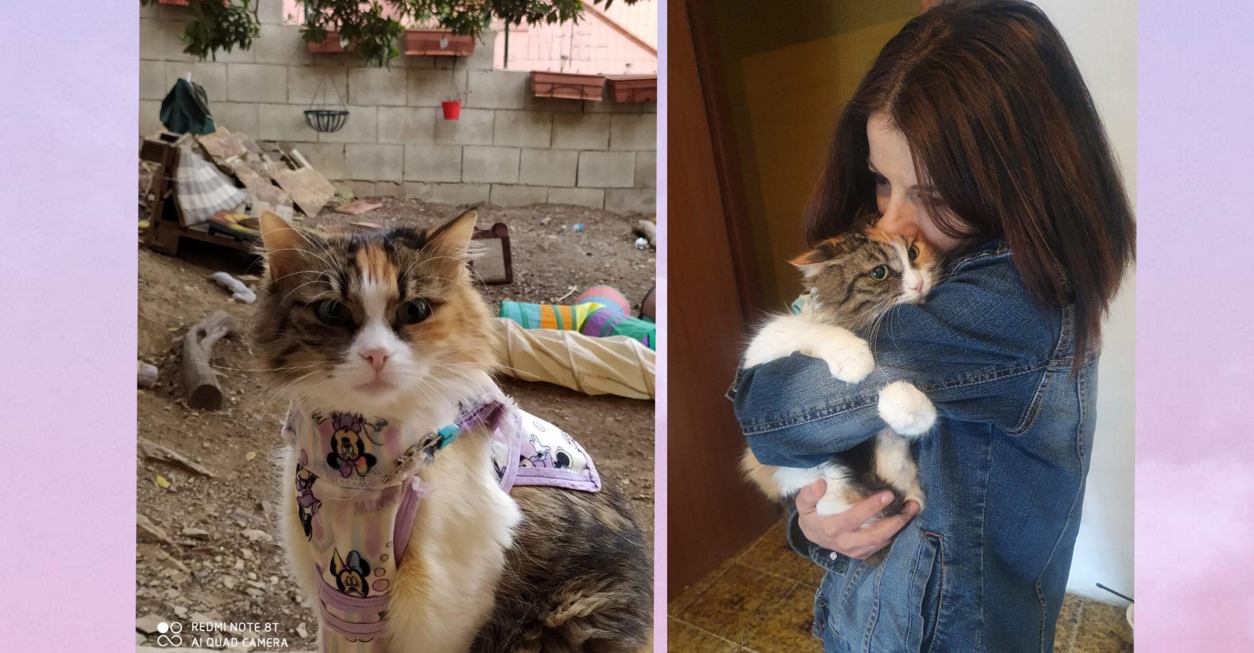 A Radio Zampetta Sarda Miccia Divina e la sua guarigione: quando l’amore supera ogni limite