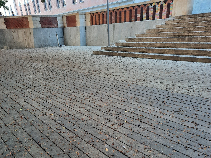 Cagliari, scempio in piazza Garibaldi: “Bacche ovunque, il Comune ripulisce o attende le denunce?”