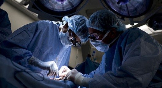 Crollo dei trapianti in Sardegna, è allarme rosso: “Per molti l’alternativa è la morte”