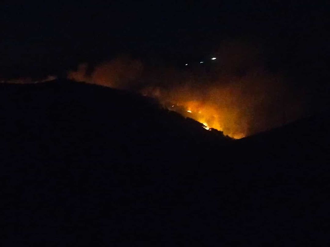 Incendi, notte di fuoco in Sardegna: animali carbonizzati a Burcei