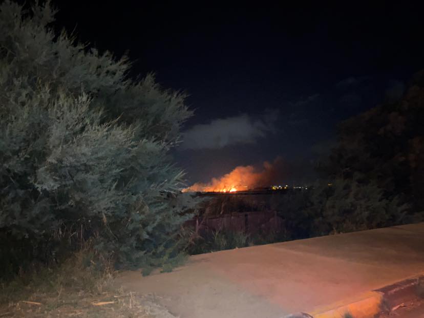 Fiamme a Molentargius, grosso incendio nel cuore del parco: in cenere canneti e piante