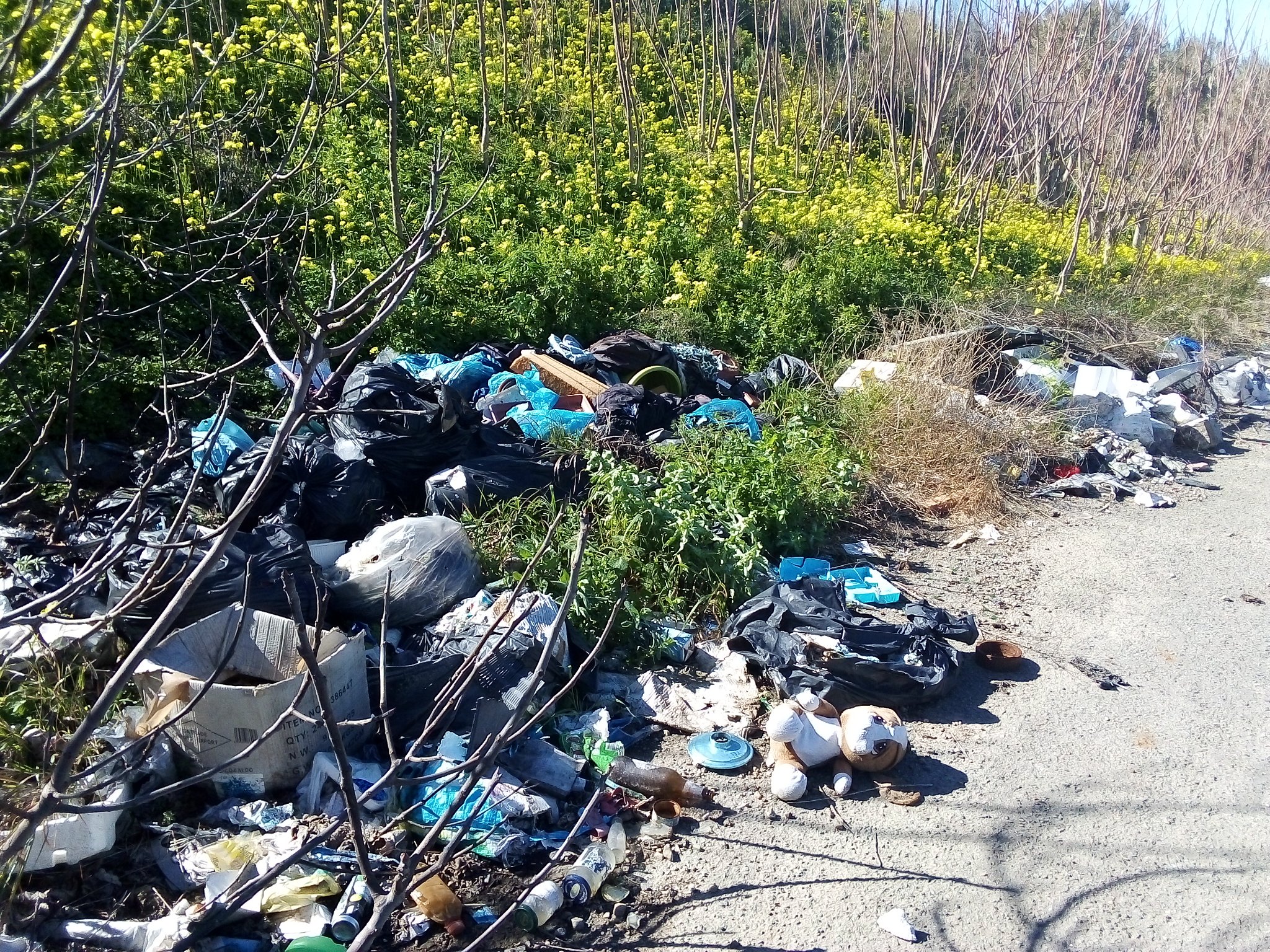 Cagliari, le foto horror della discarica di viale Monastir: “Il Comune non è mai intervenuto”