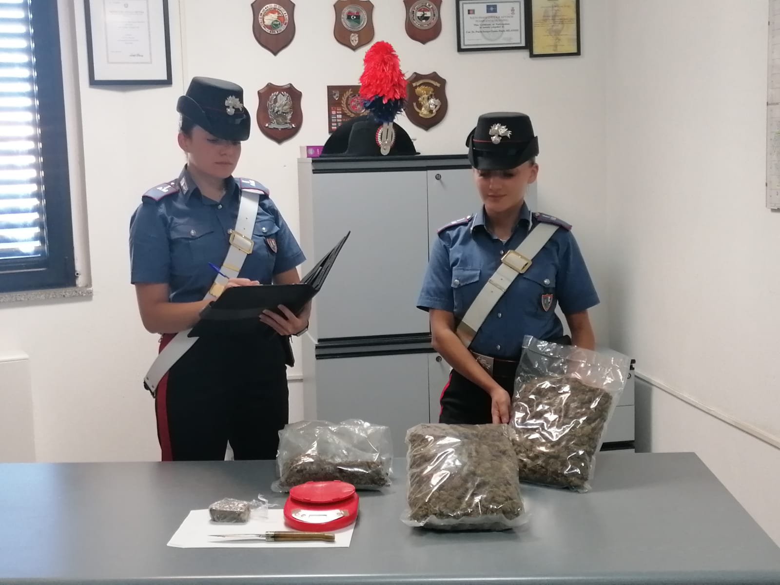 Ha il reddito di cittadinanza e spaccia droga, pusher 35enne sardo in manette