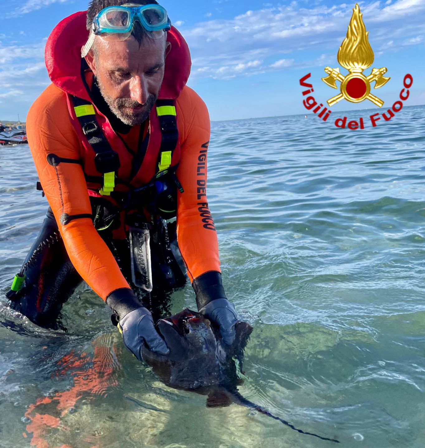 Budoni, razza arenata nel bagnasciuga salvata dai Vigili del fuoco