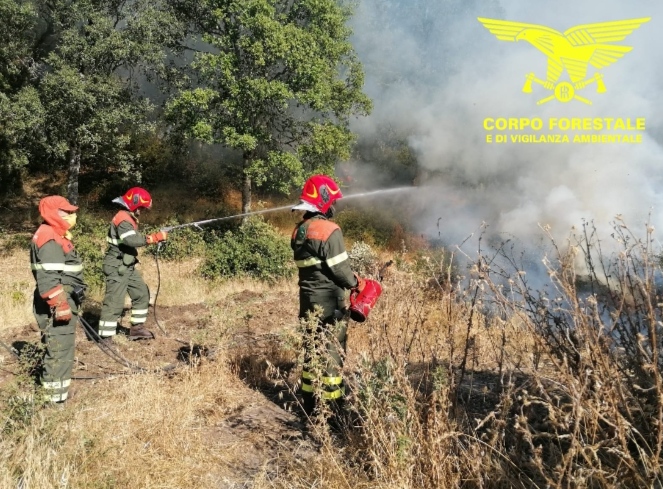 Ferragosto di fuoco nel sud Sardegna, pascoli e canneti divorati dalle fiamme