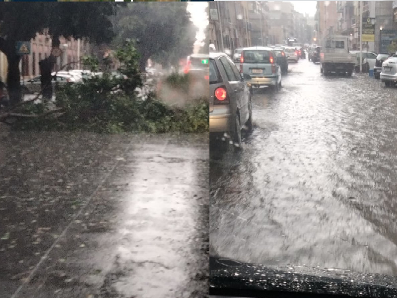 Cagliari, l’acqua si mangia viale Trieste e viale Sant’Avendrace: rami crollati e strade ko
