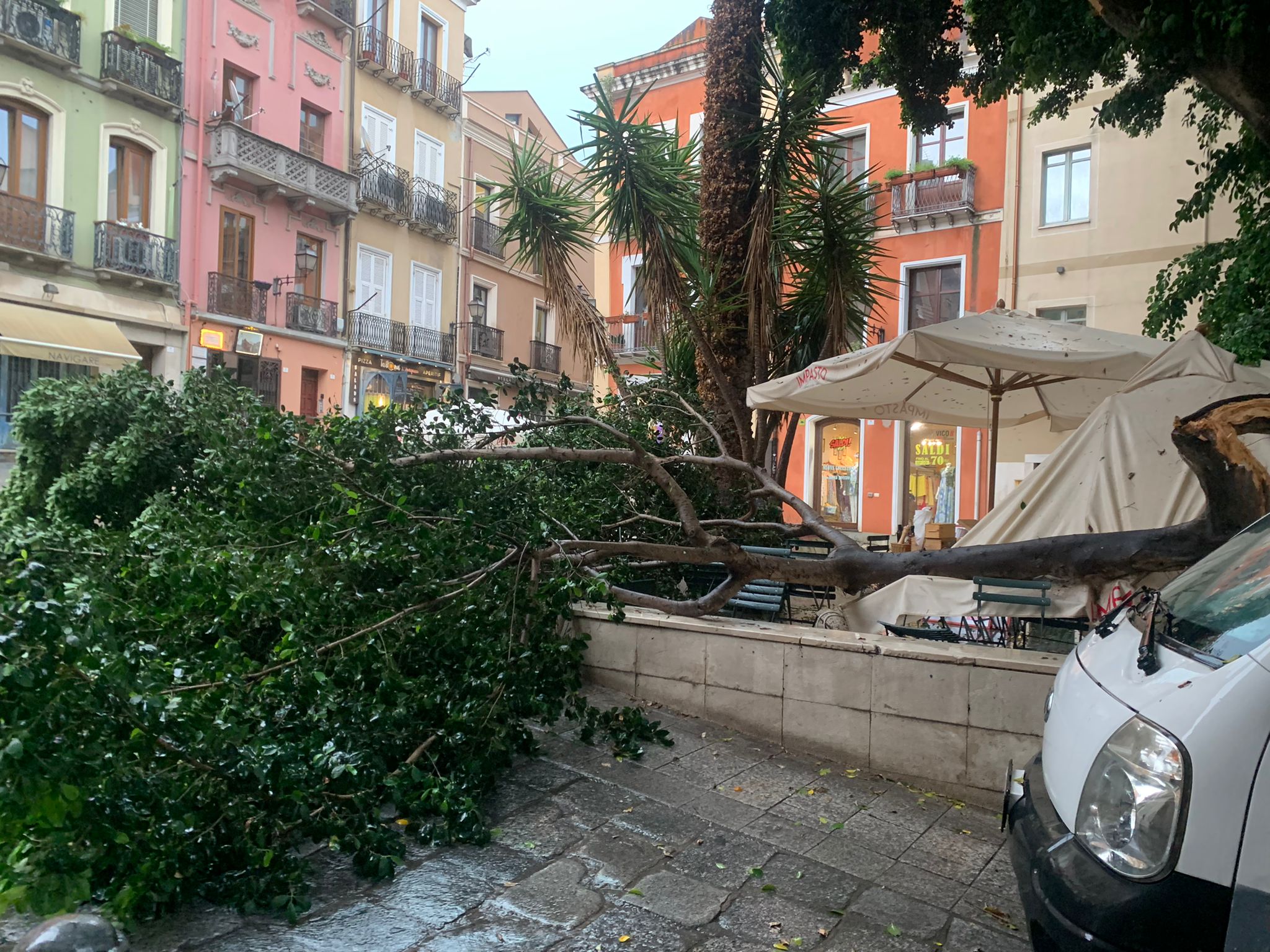 Paura in piazzetta Savoia a Cagliari: cade un albero sui tavolini fra i turisti