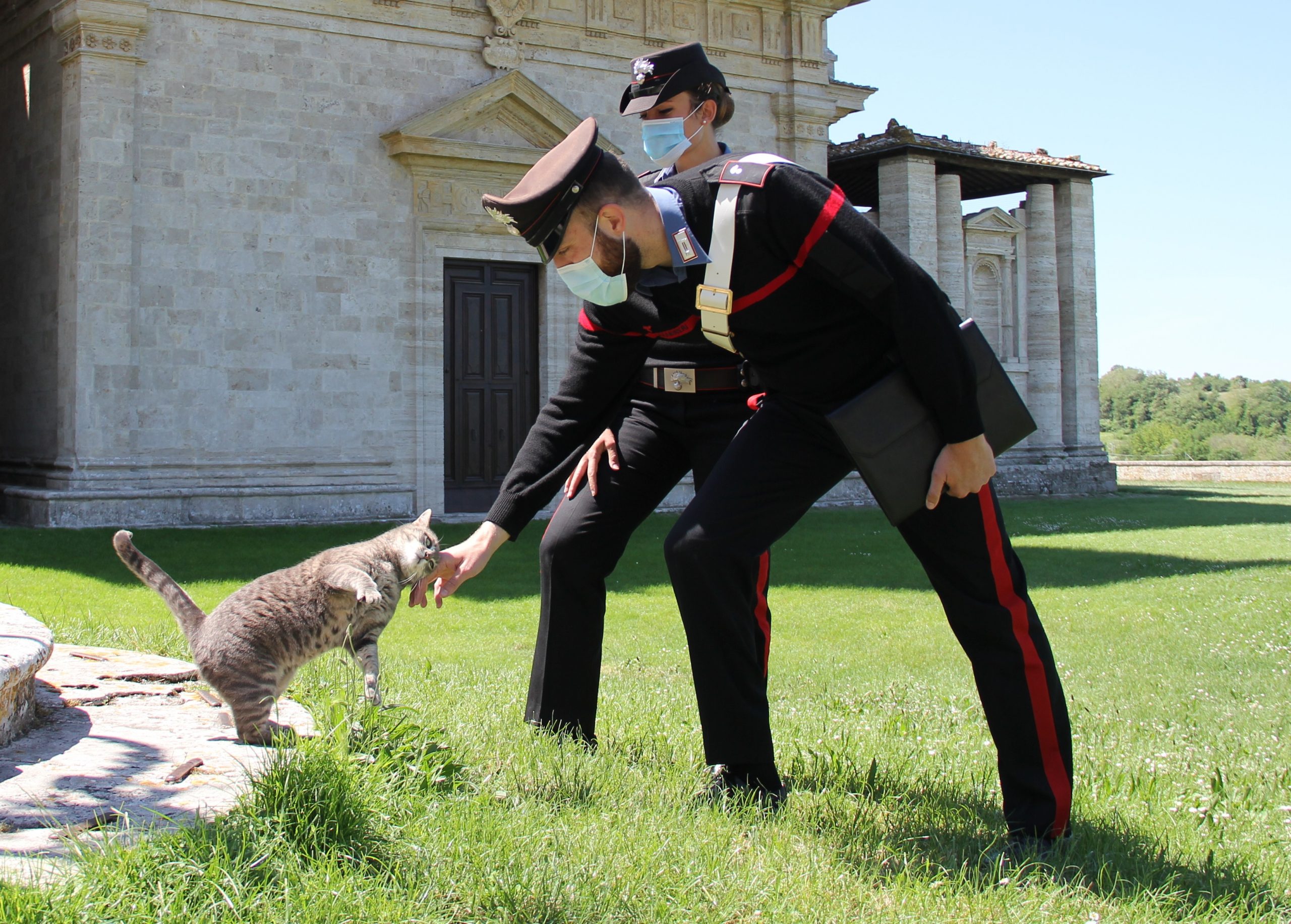 Maltratta il gatto sotto gli occhi dei vicini, 44enne denunciata a Monserrato