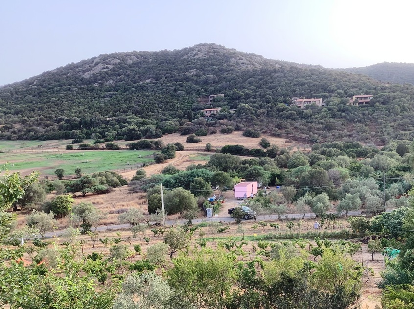 Sequestrata una struttura a Chia, dal Grig la denuncia al Comune