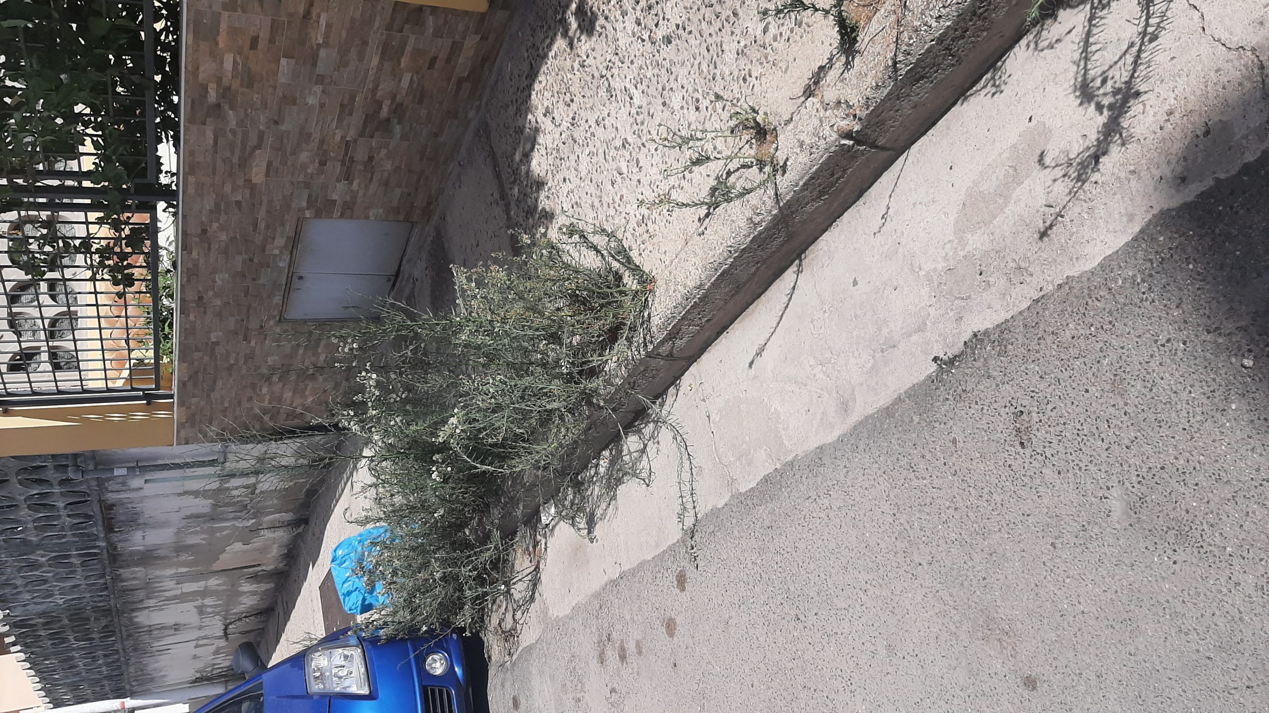 Quartu, le nuove storiche buche cittadine: “Guardate come siamo costretti a camminare in via Vico”