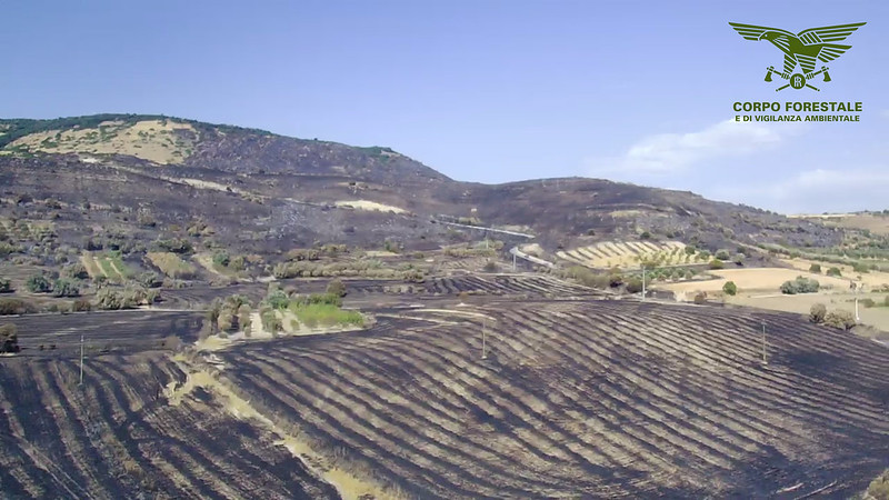 Incendiario arrestato dal Corpo forestale di Cagliari: è recidivo, per lui si aprono le porte del carcere