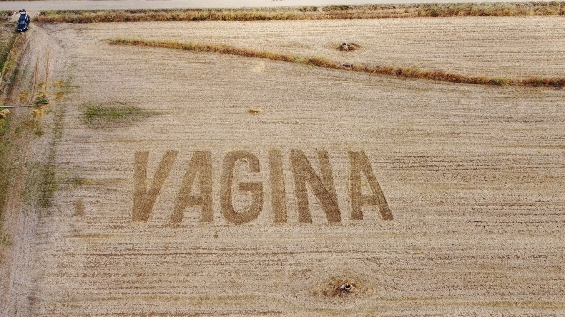 San Gavino Monreale, la provocazione dell’artista: scrive “vagina” col trattore in un campo (VIDEO)