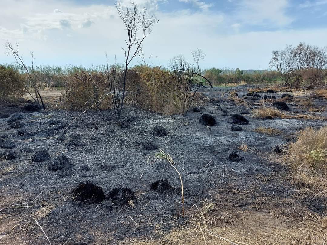 Molentargius sfregiato, i roghi partiti da campi abbandonati: “Le colonnine antincendio sono troppo lontane”