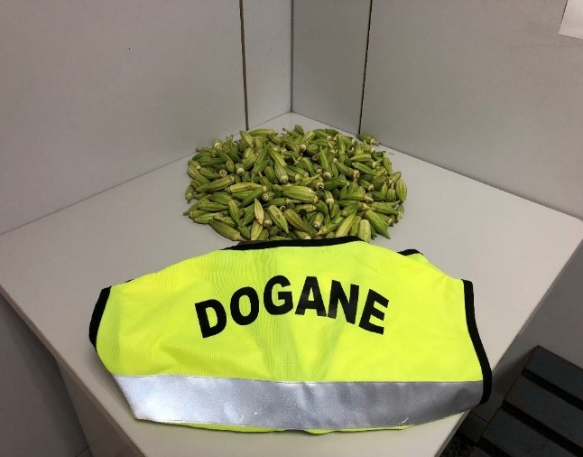 Alghero, semi di piante infestanti e contaminate nei bagagli: scatta il sequestro