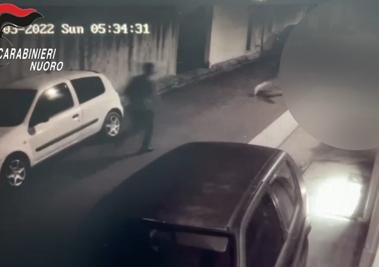 Rumeno pestato a sangue da 3 giovani sardi: “Pensavo volessero uccidermi, non tornerò più in Ogliastra”