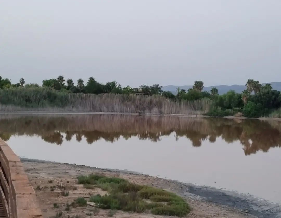 Puzza terribile da Monserrato a Pirri, aria irrespirabile: “Arriva da Molentargius e Terramaini”