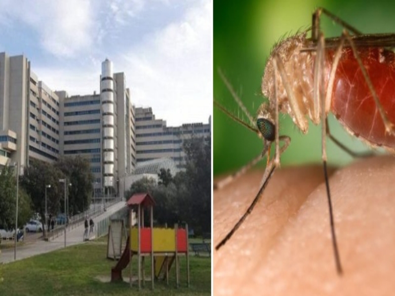 Febbre del Nilo, morta la donna di Marrubiu ricoverata al Brotzu: addio a Tonina Pisola