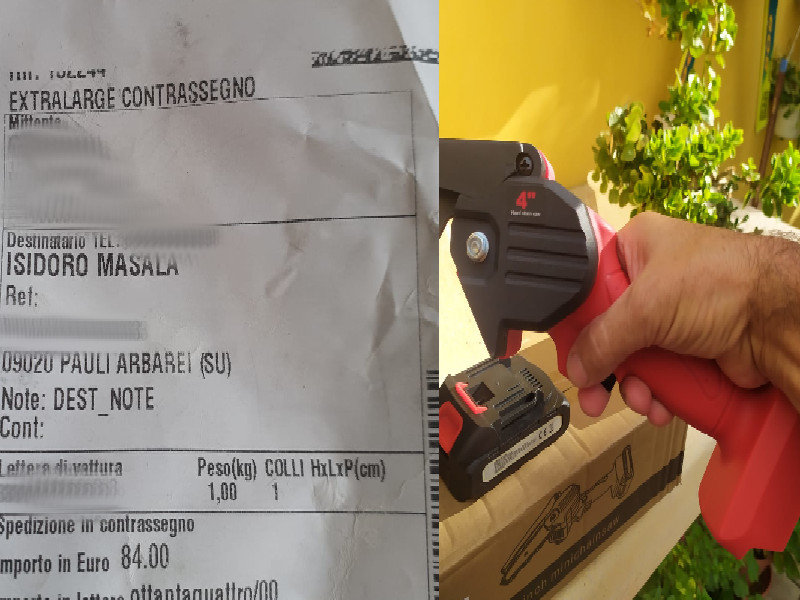 Sardegna, la denuncia: “Motoseghe più piccole di quelle proposte su internet, occhio alla truffa”