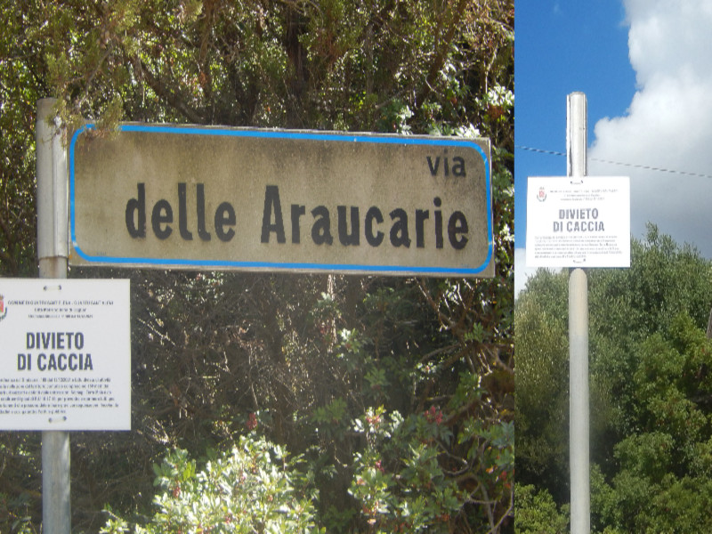 Quartu, dopo gli spari il Comune corre ai ripari: “Cartelli di divieto di caccia a Terra Mala”