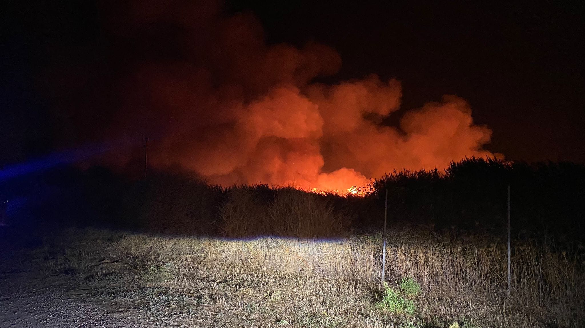 L’incendio a Molentargius è doloso, nel mirino il parco dei fenicotteri rosa