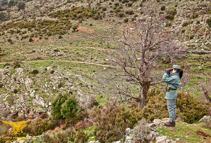 Si perde mentre cerca funghi tra Borore e Macomer, donna soccorsa dalla Forestale