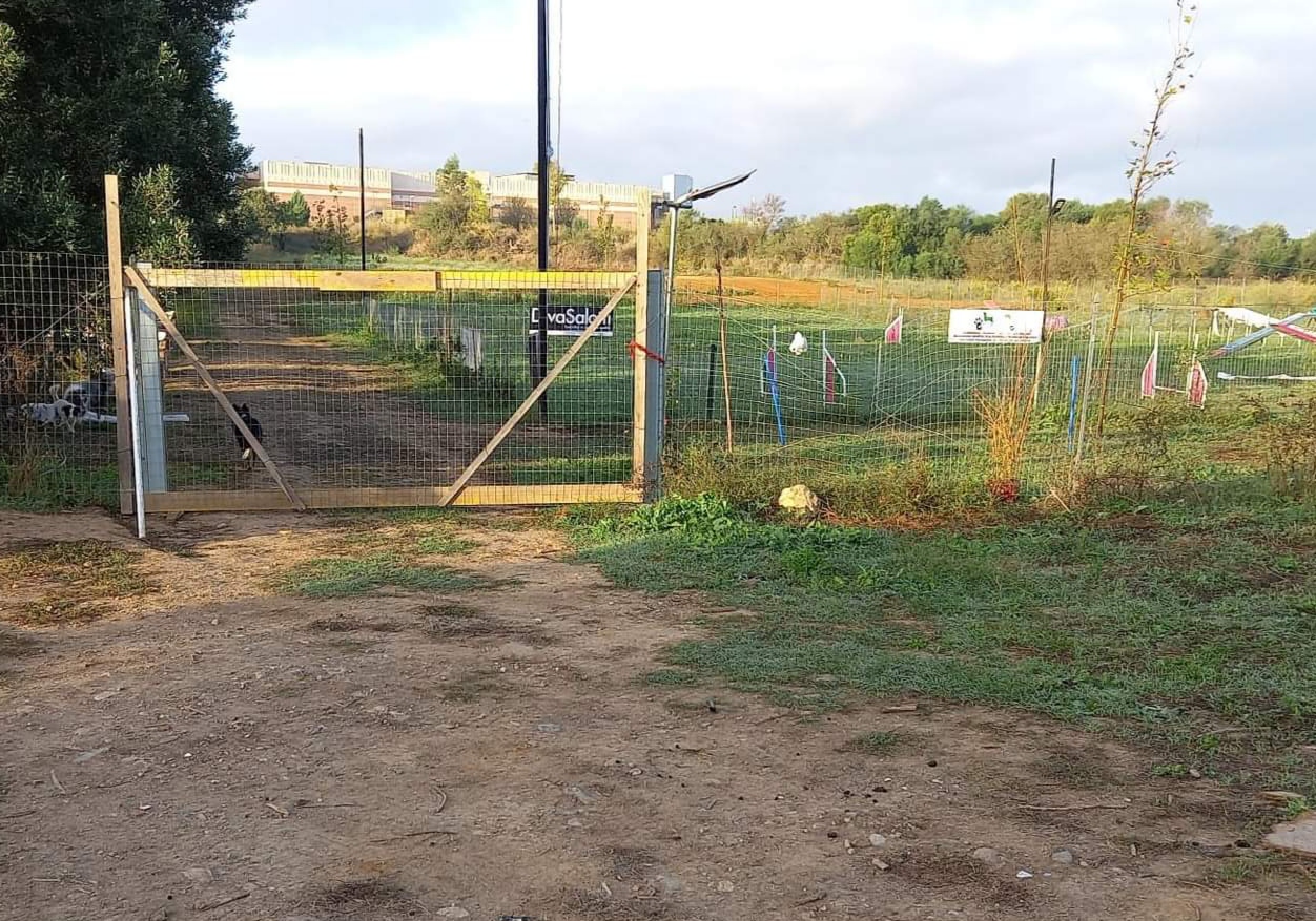 Ladri scatenati a Sestu, razzia nel campo dei titolari di un negozio per animali