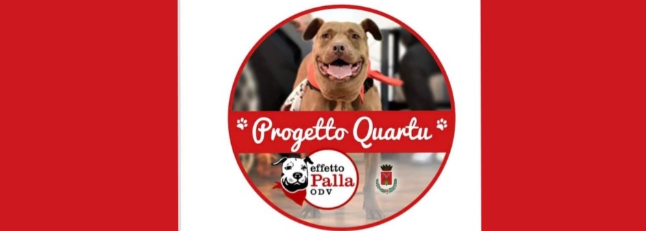 “Effetto Palla” a Quartu: dal 1 ottobre via alle sterilizzazioni