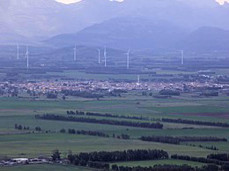 Dramma a Pabillonis, contadino muore dopo la puntura di una vespa: addio a Francesco Doi