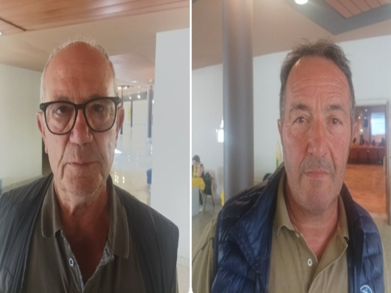 Bollette e mangimi alle stelle, latte ancora sottopagato: “Noi agricoltori sardi rischiamo il tracollo”