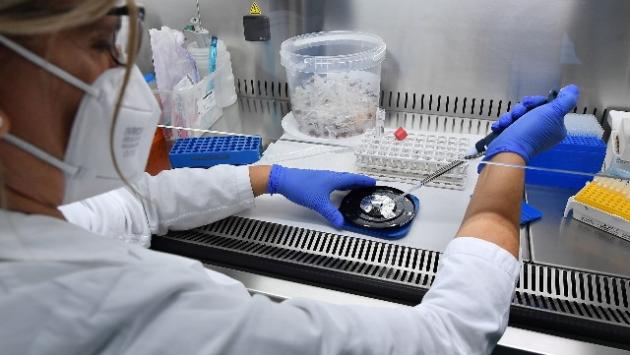 In Sardegna arriva la variante Cerberus del Covid: scoperti quattro casi, due a Cagliari